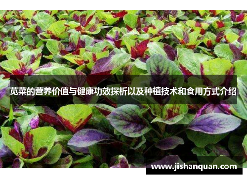 苋菜的营养价值与健康功效探析以及种植技术和食用方式介绍 苋菜的营养价值与健康功效探析以及种植技术和食用方式介绍